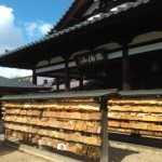 日本で最大の木造仏【安倍の文殊院】